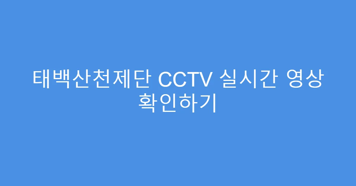 태백산천제단 CCTV 실시간 영상 확인하기