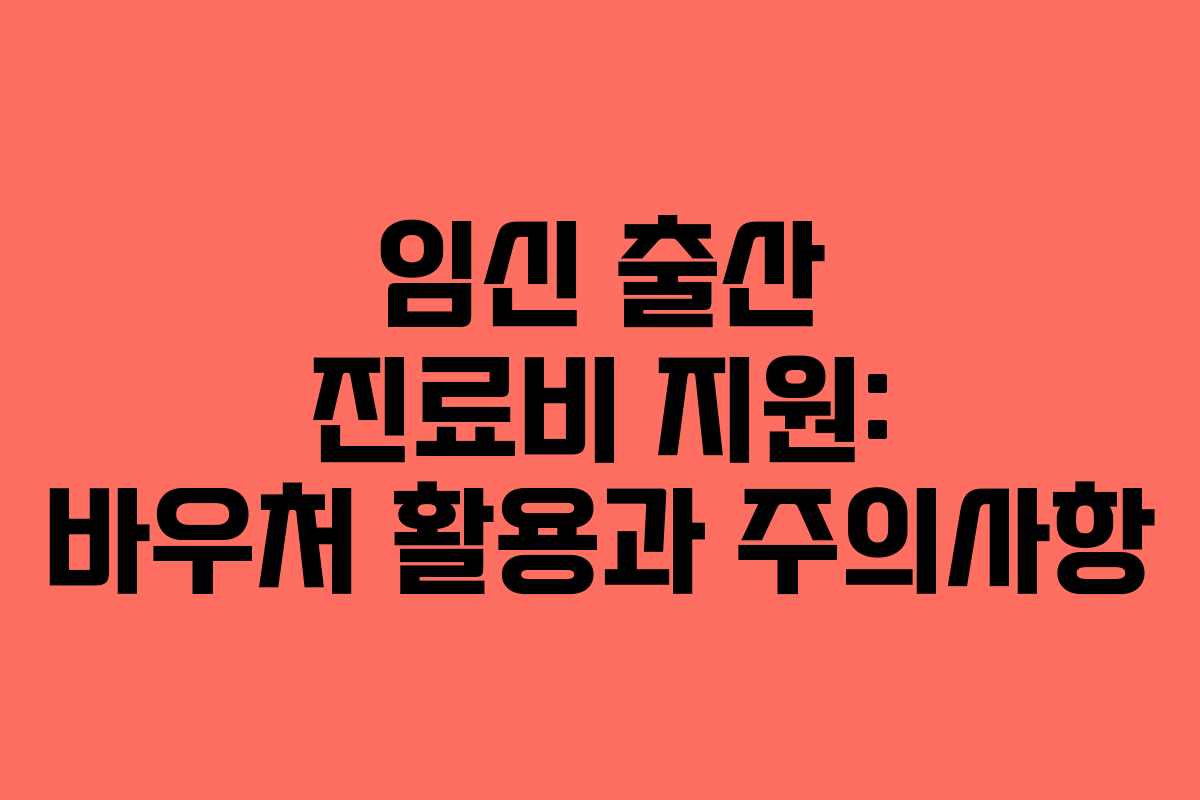 임신 출산 진료비 지원: 바우처 활용과 주의사항