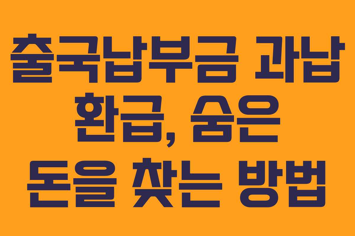 출국납부금 과납 환급, 숨은 돈을 찾는 방법 출국납부금 과납 환급, 숨은 돈을 찾는 방법