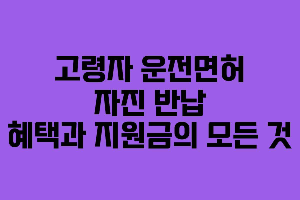 고령자 운전면허 자진 반납 혜택과 지원금의 모든 것
