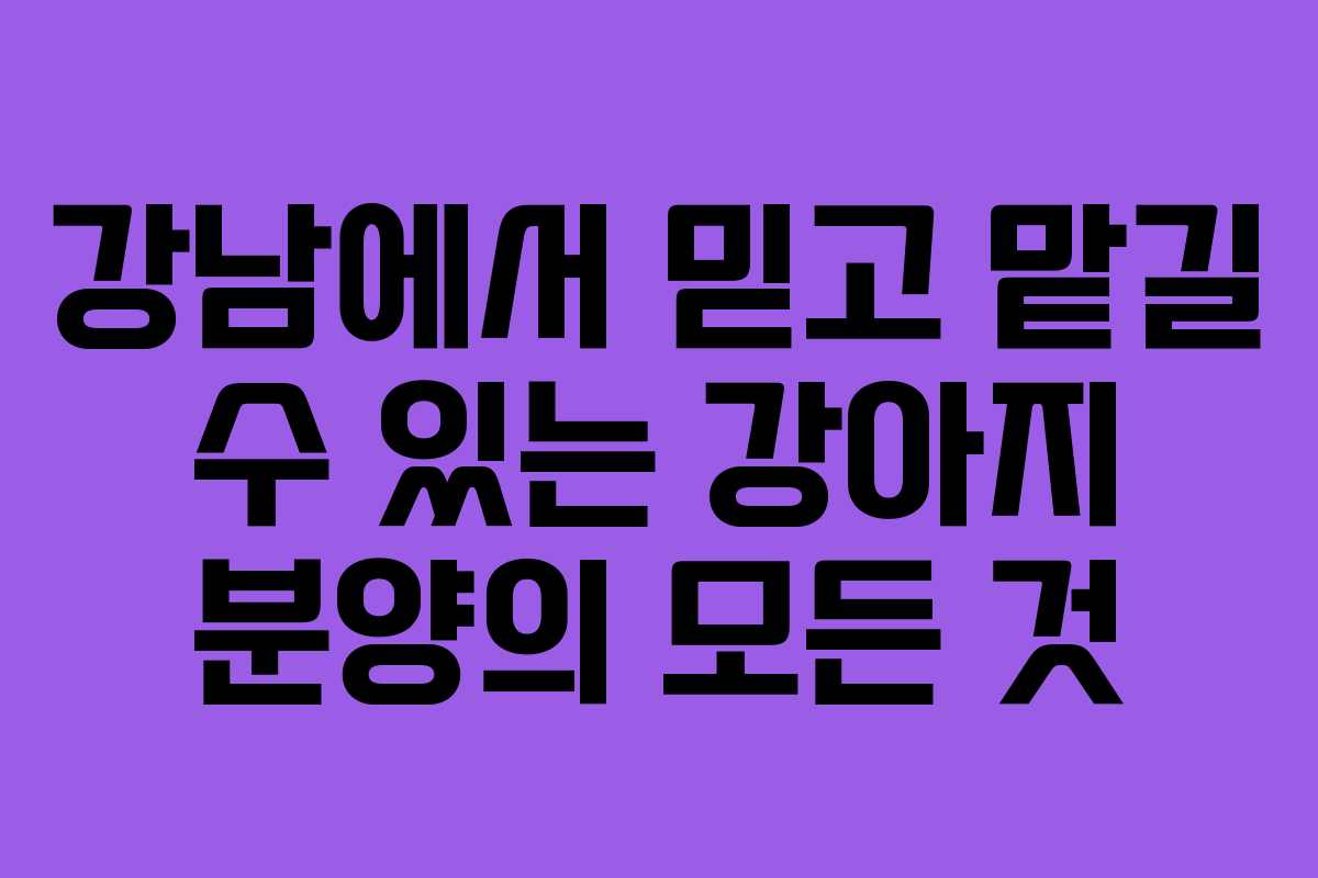 강남에서 믿고 맡길 수 있는 강아지 분양의 모든 것