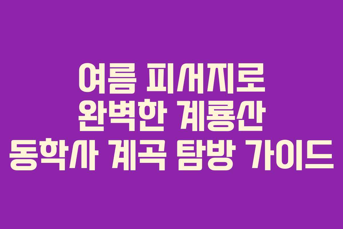 여름 피서지로 완벽한 계룡산 동학사 계곡 탐방 가이드