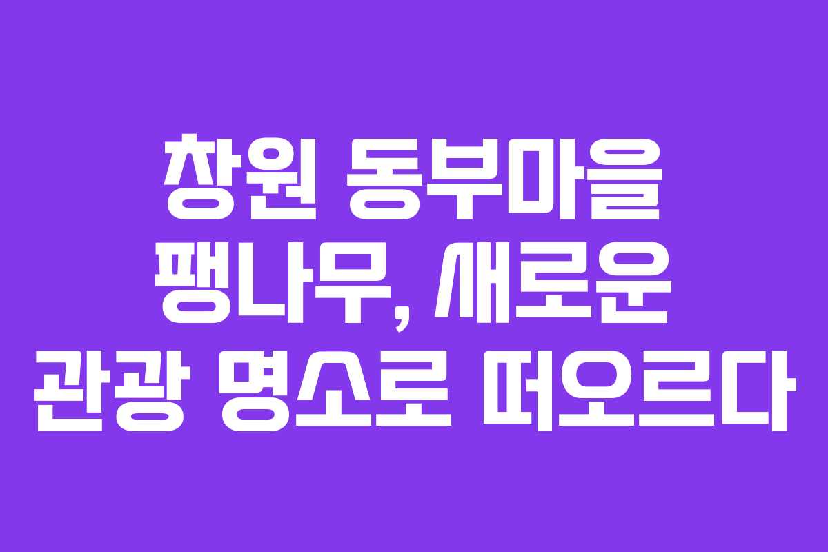 창원 동부마을 팽나무, 새로운 관광 명소로 떠오르다