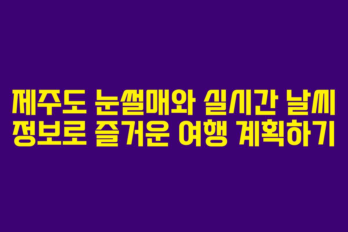 제주도 눈썰매와 실시간 날씨 정보로 즐거운 여행 계획하기