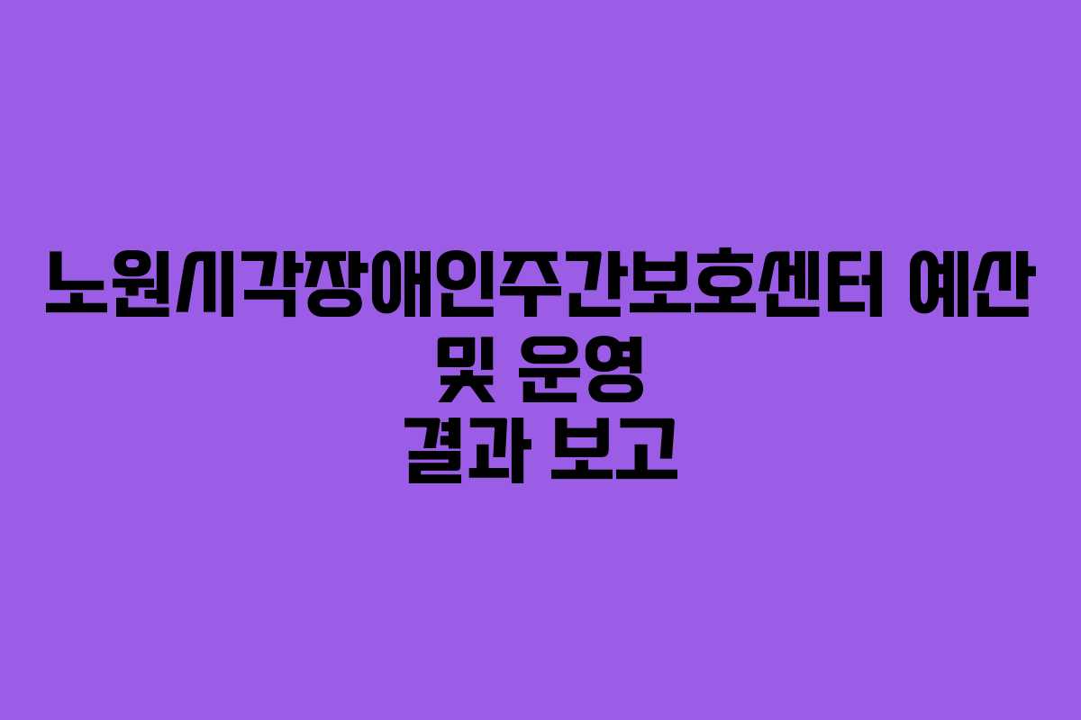 노원시각장애인주간보호센터 예산 및 운영 결과 보고