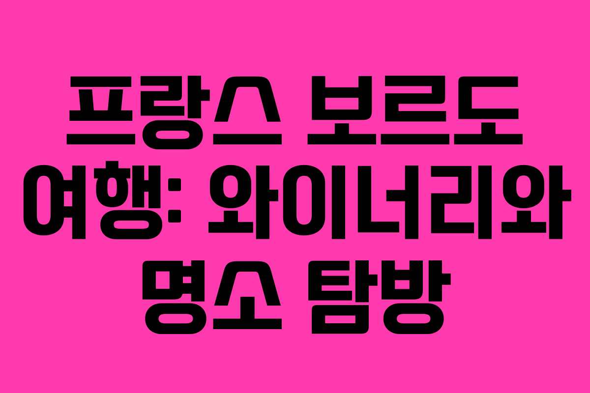 프랑스 보르도 여행: 와이너리와 명소 탐방