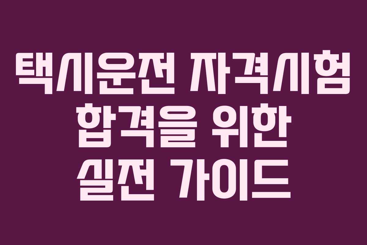 택시운전 자격시험 합격을 위한 실전 가이드 택시운전 자격시험 합격을 위한 실전 가이드