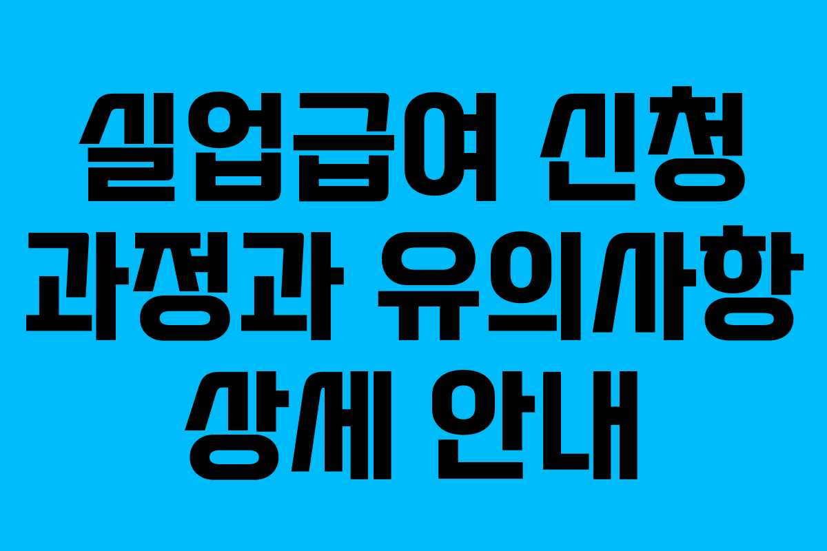 실업급여 신청 과정과 유의사항 상세 안내 실업급여 신청 과정과 유의사항 상세 안내