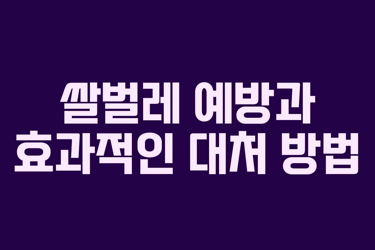 쌀벌레 예방과 효과적인 대처 방법