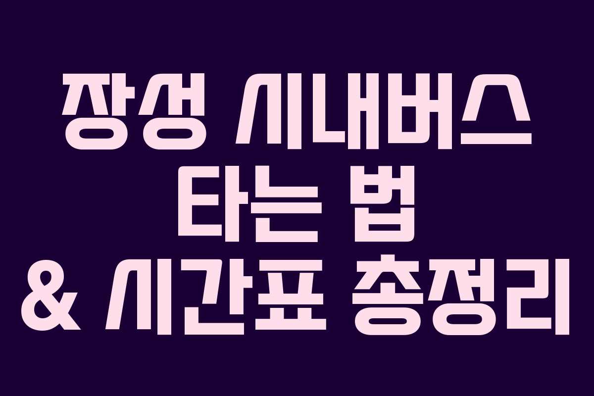 장성 시내버스 타는 법 & 시간표 총정리