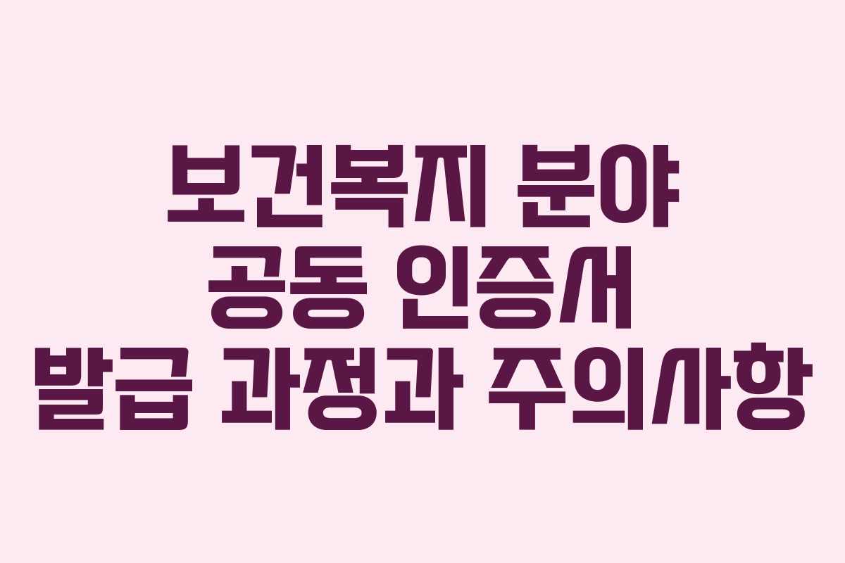 보건복지 분야 공동 인증서 발급 과정과 주의사항