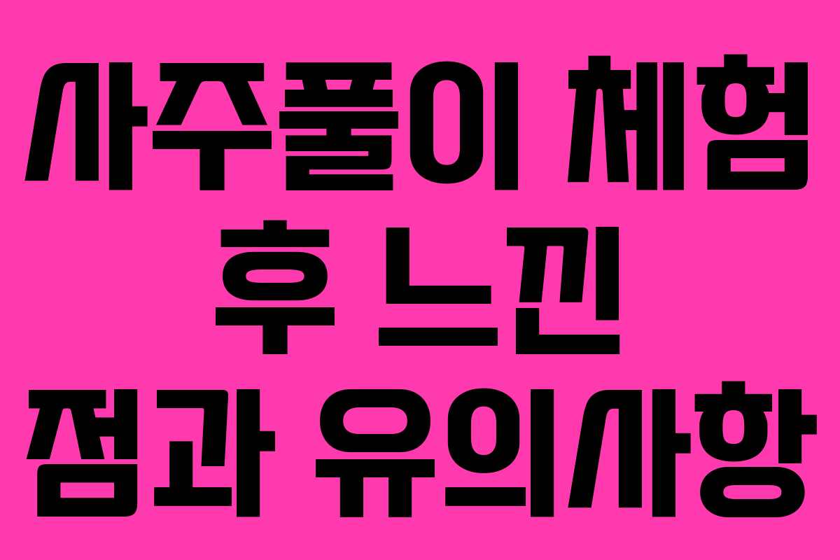 사주풀이 체험 후 느낀 점과 유의사항 사주풀이 체험 후 느낀 점과 유의사항