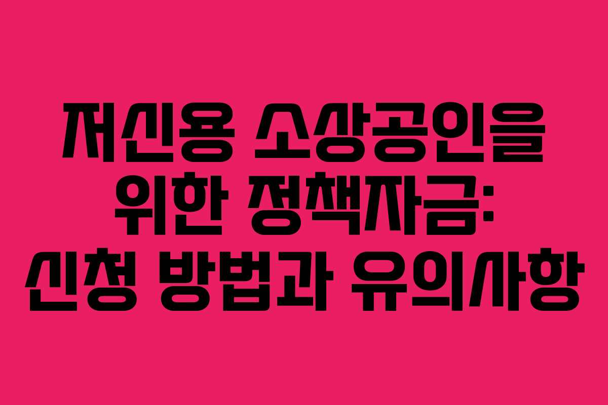 저신용 소상공인을 위한 정책자금: 신청 방법과 유의사항 저신용 소상공인을 위한 정책자금: 신청 방법과 유의사항