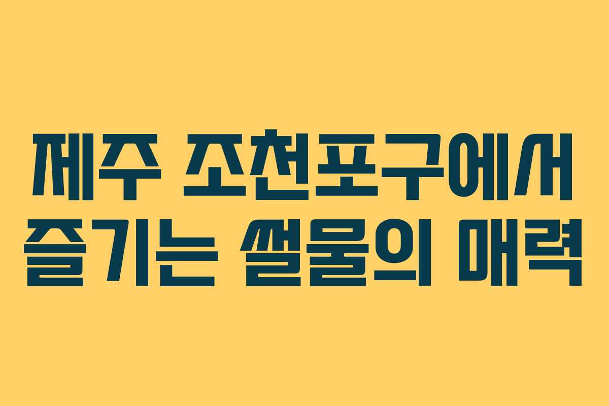 제주 조천포구에서 즐기는 썰물의 매력