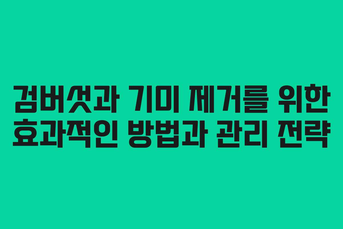 검버섯과 기미 제거를 위한 효과적인 방법과 관리 전략