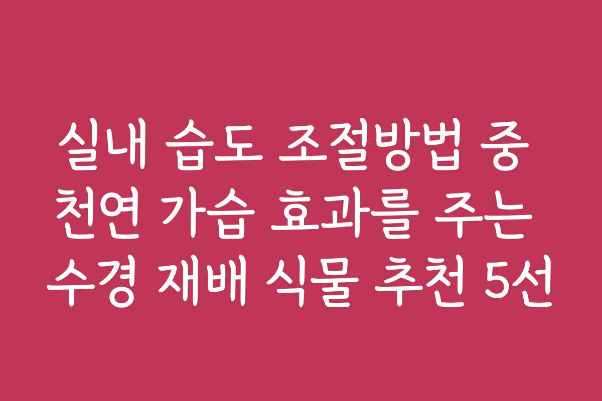 실내 습도 조절방법 중 천연 가습 효과를 주는 수경 재배 식물 추천 5선 실내 습도 조절방법 중 천연 가습 효과를 주는 수경 재배 식물 추천 5선