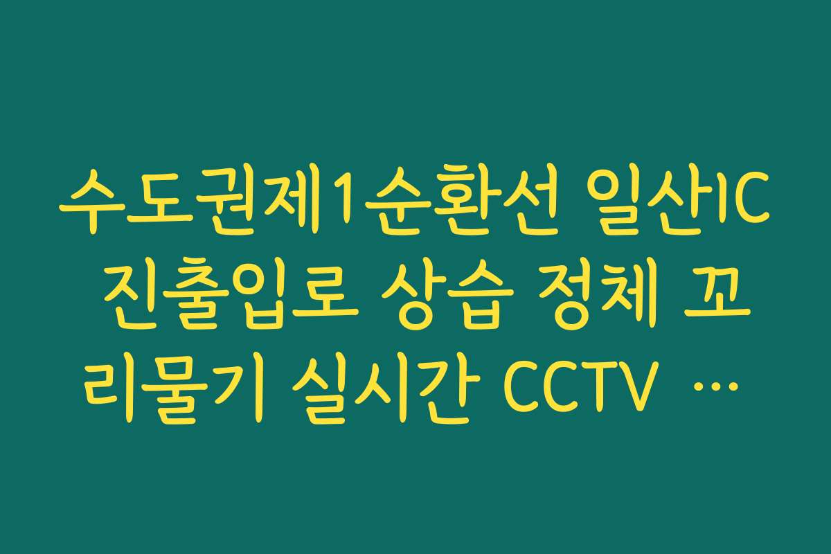 수도권제1순환선 일산IC 진출입로 상습 정체 꼬리물기 실시간 CCTV 확인 수도권제1순환선 일산IC 진출입로 상습 정체 꼬리물기 실시간 CCTV 확인