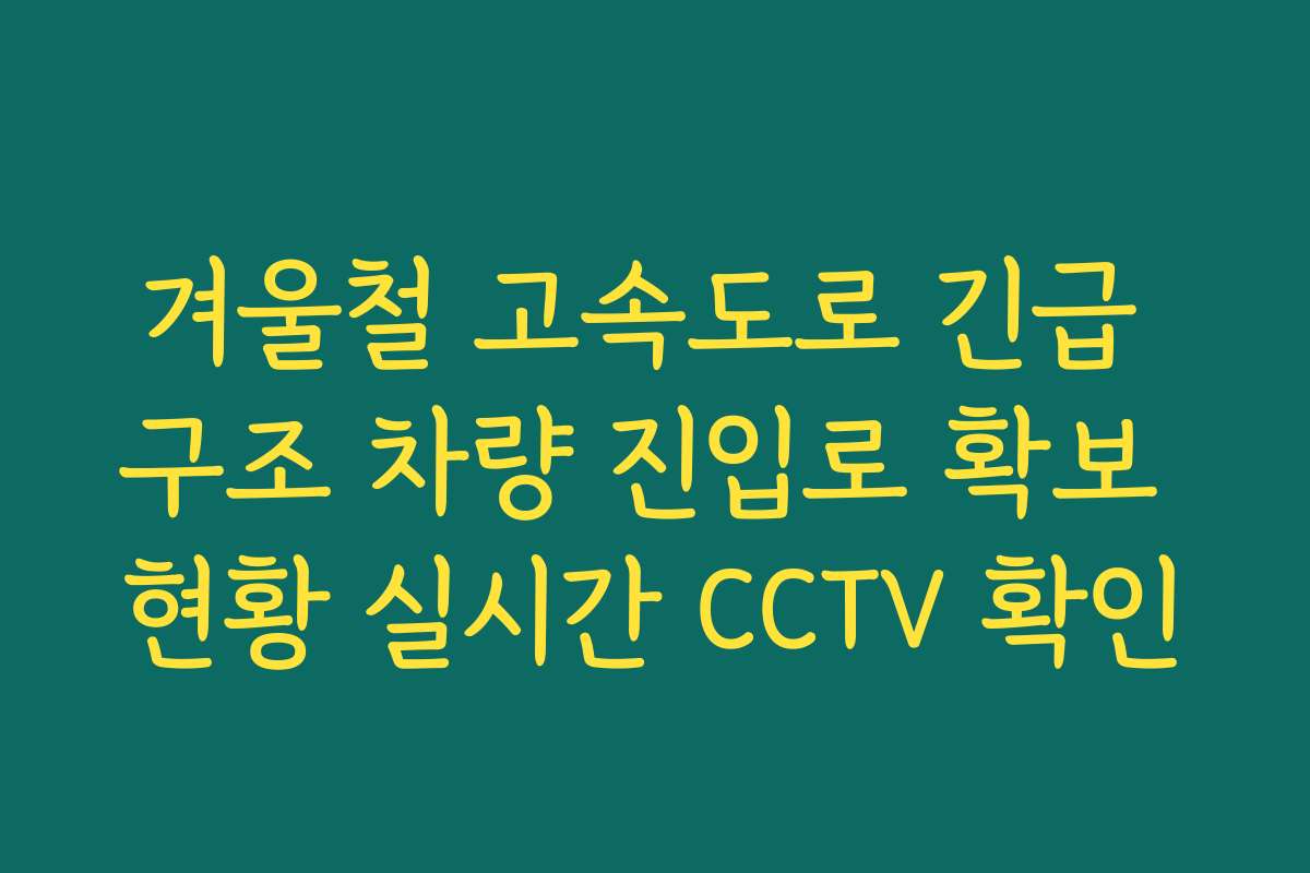겨울철 고속도로 긴급 구조 차량 진입로 확보 현황 실시간 CCTV 확인