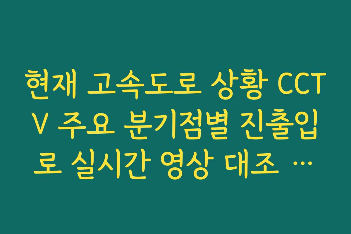 현재 고속도로 상황 CCTV 주요 분기점별 진출입로 실시간 영상 대조 방법
