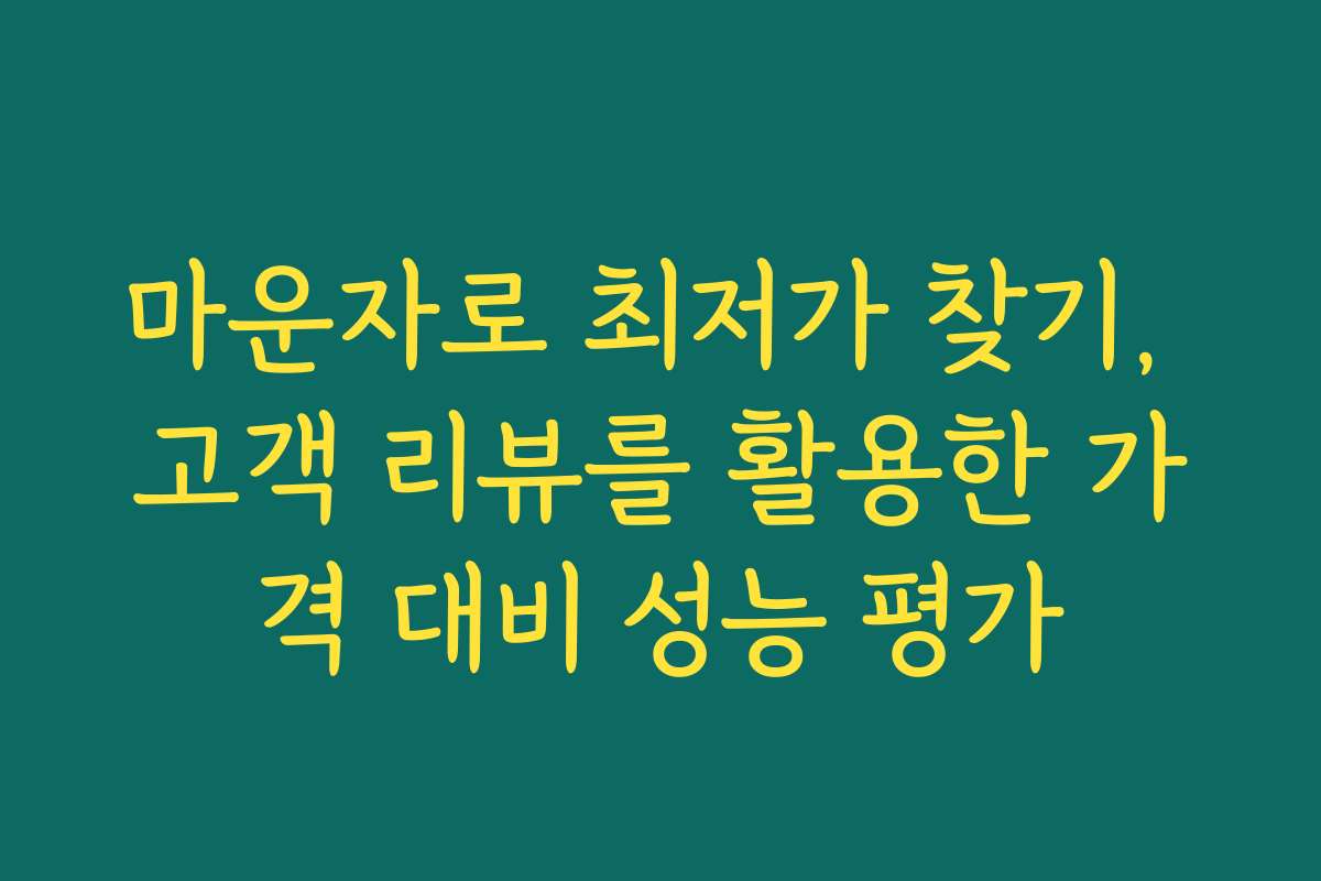 마운자로 최저가 찾기, 고객 리뷰를 활용한 가격 대비 성능 평가