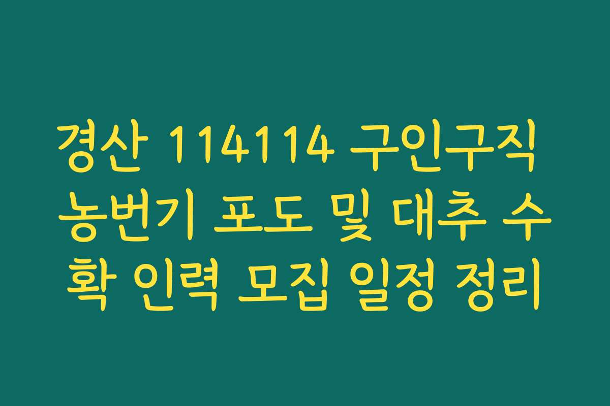 경산 114114 구인구직 농번기 포도 및 대추 수확 인력 모집 일정 정리