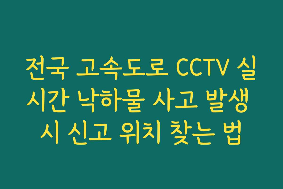 전국 고속도로 CCTV 실시간 낙하물 사고 발생 시 신고 위치 찾는 법