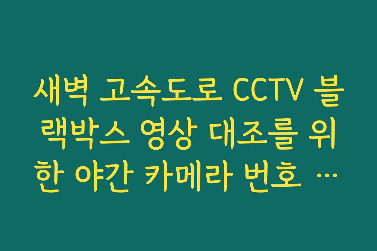 새벽 고속도로 CCTV 블랙박스 영상 대조를 위한 야간 카메라 번호 위치 안내