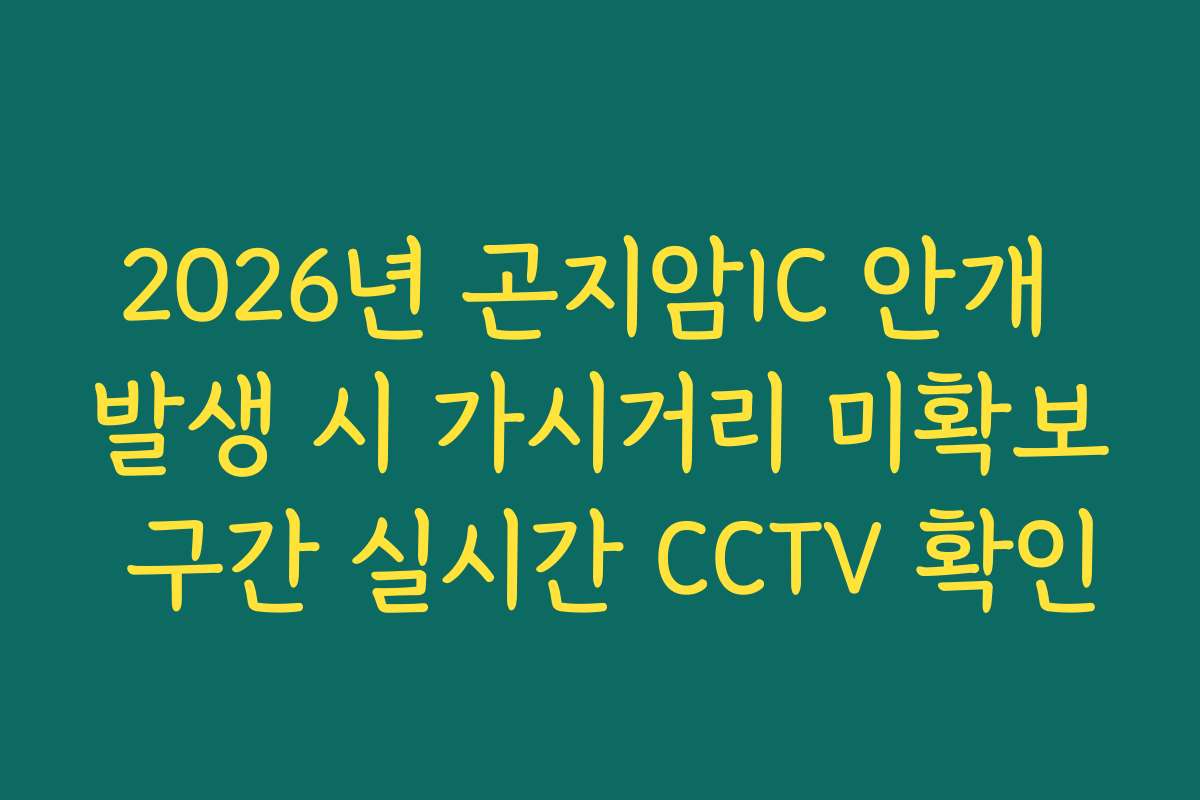 2026년 곤지암IC 안개 발생 시 가시거리 미확보 구간 실시간 CCTV 확인