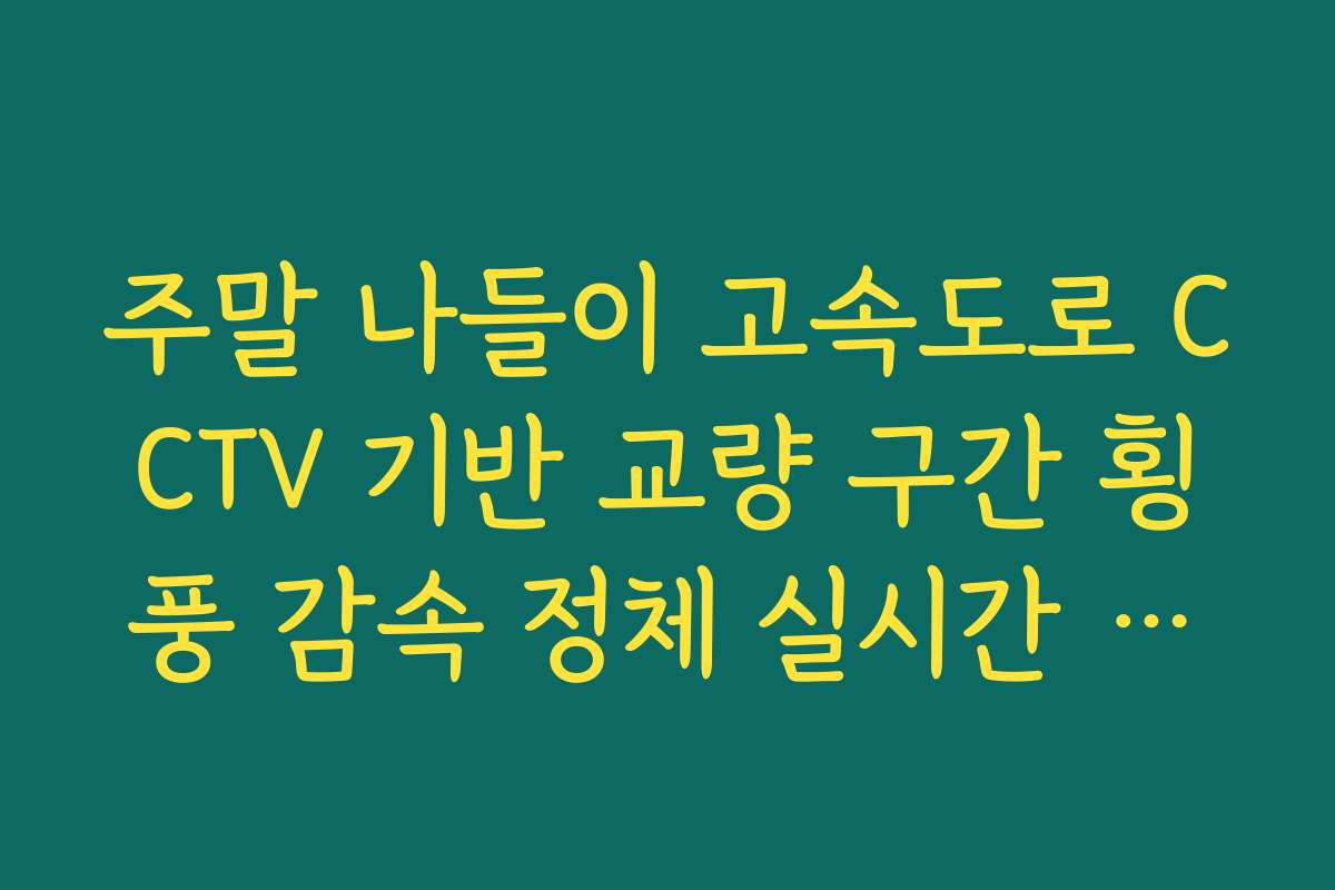 주말 나들이 고속도로 CCTV 기반 교량 구간 횡풍 감속 정체 실시간 확인