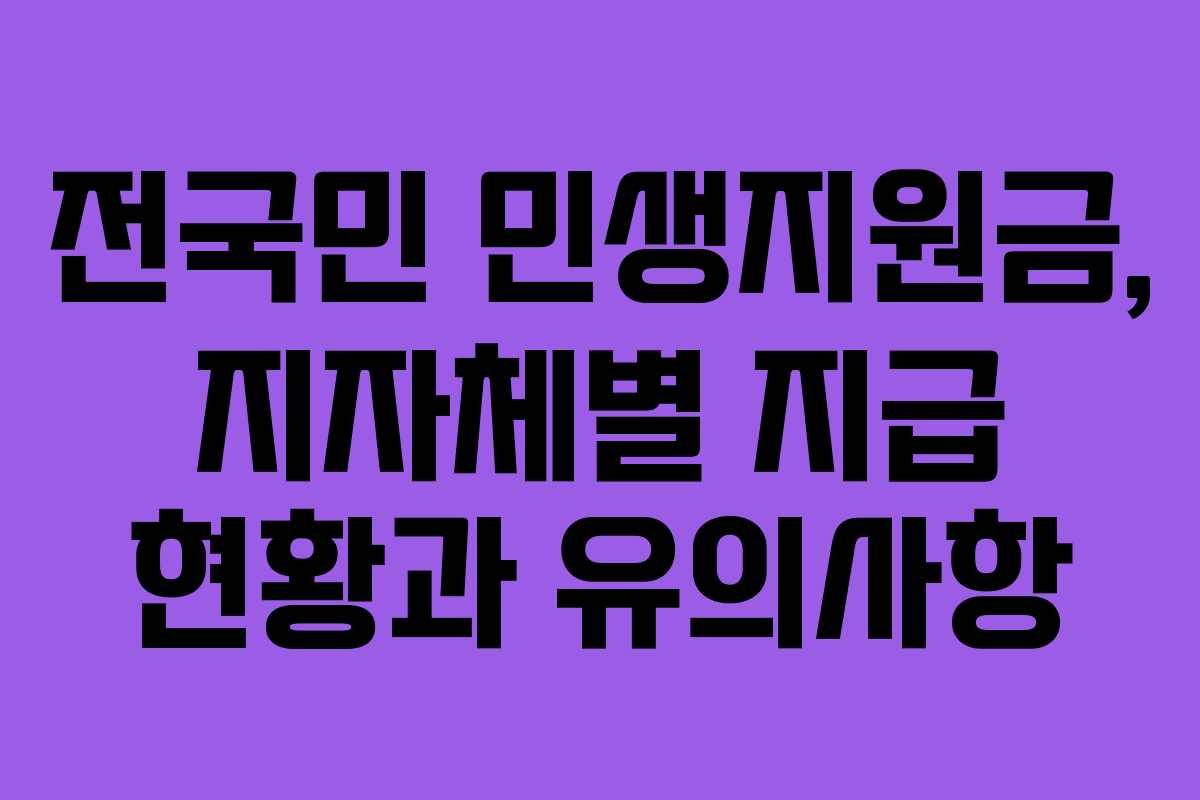 전국민 민생지원금, 지자체별 지급 현황과 유의사항