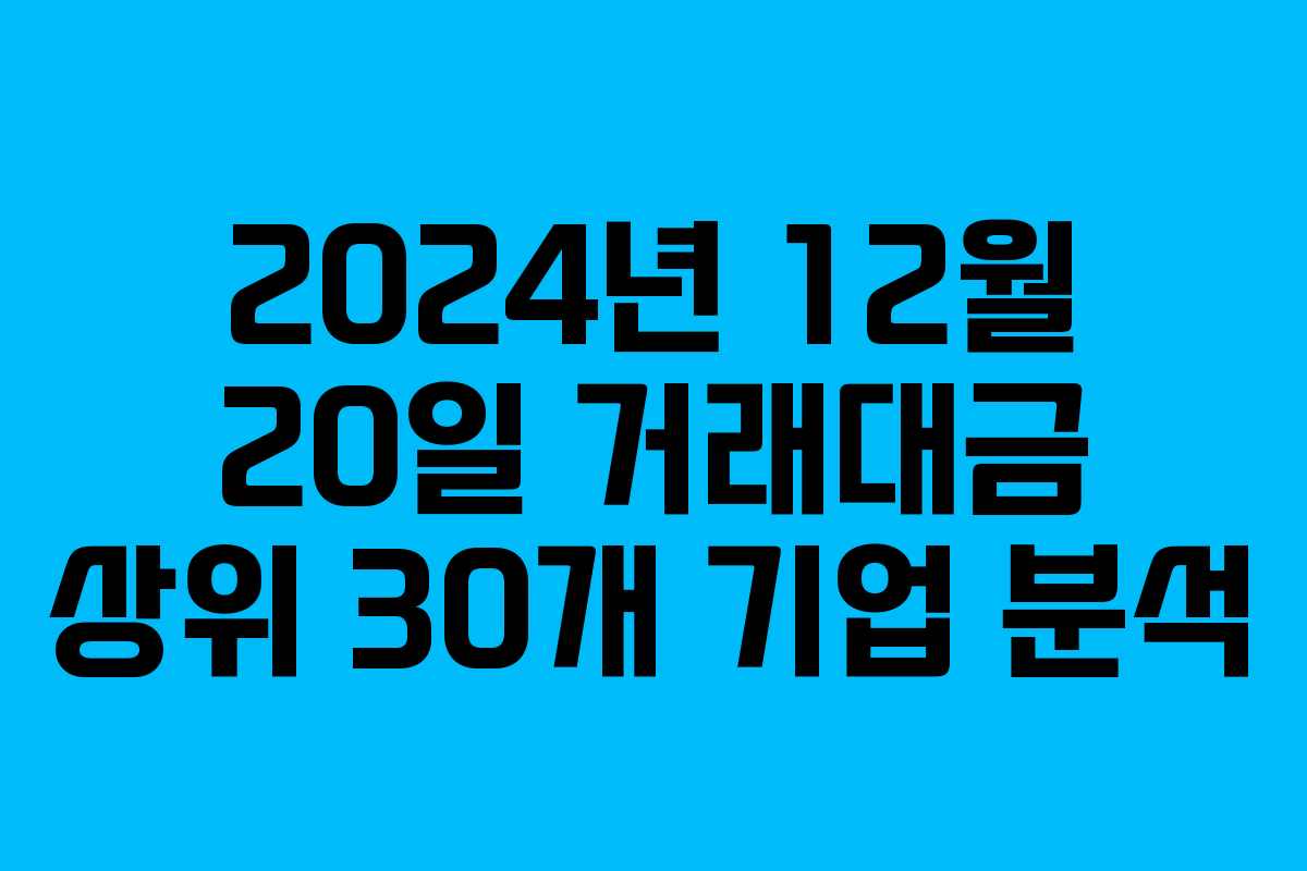 2024년 12월 20일 거래대금 상위 30개 기업 분석