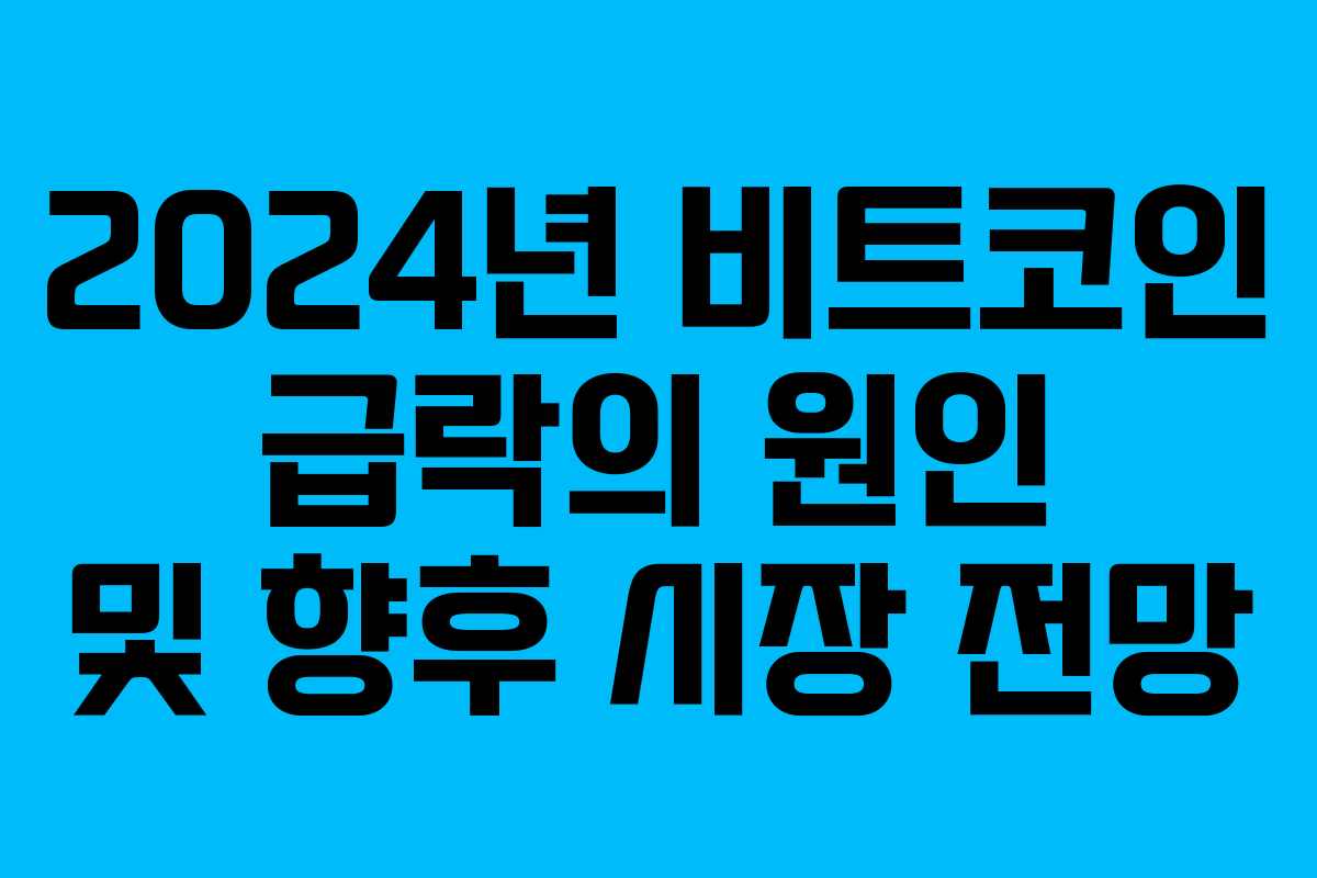 2024년 비트코인 급락의 원인 및 향후 시장 전망