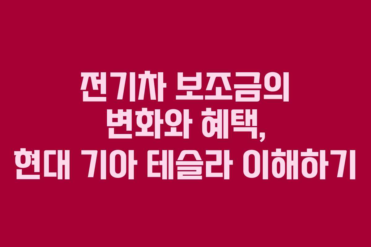 전기차 보조금의 변화와 혜택, 현대 기아 테슬라 이해하기