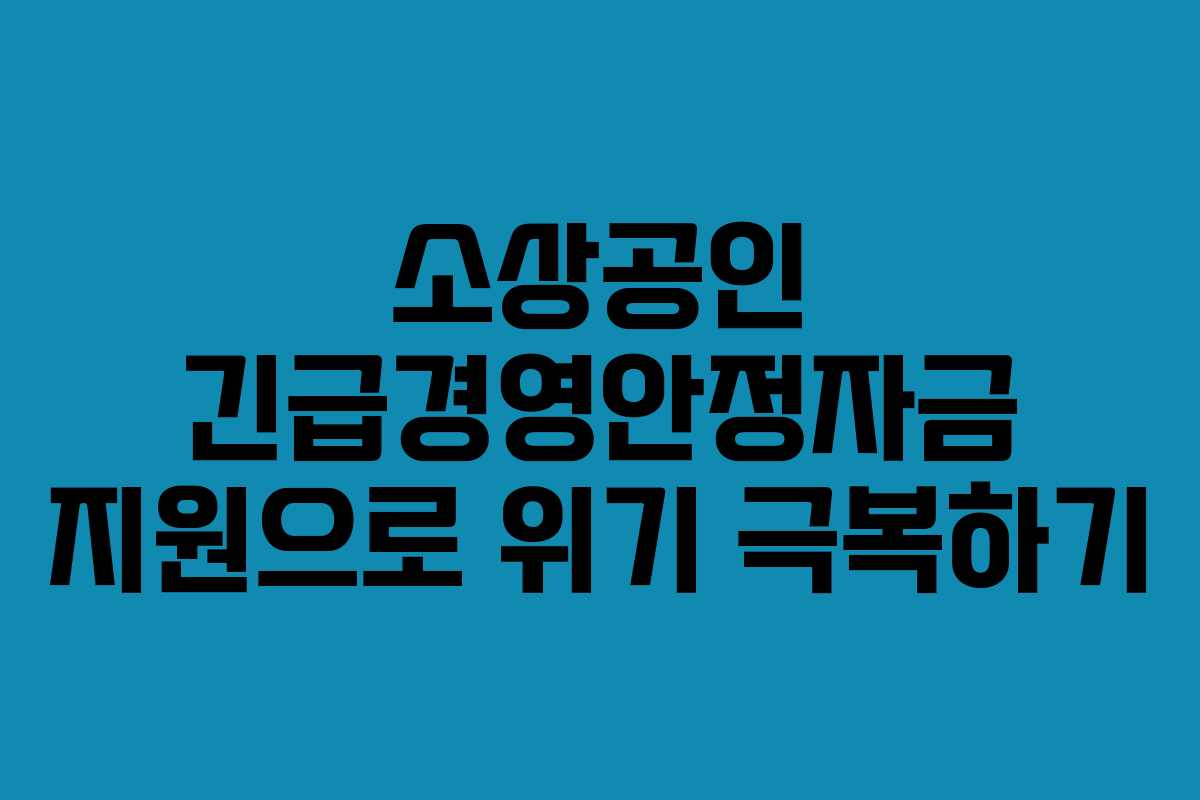 소상공인 긴급경영안정자금 지원으로 위기 극복하기