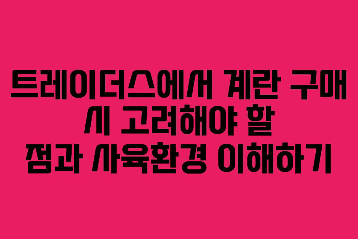 트레이더스에서 계란 구매 시 고려해야 할 점과 사육환경 이해하기