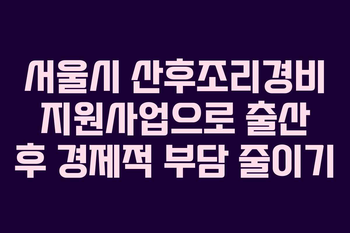서울시 산후조리경비 지원사업으로 출산 후 경제적 부담 줄이기