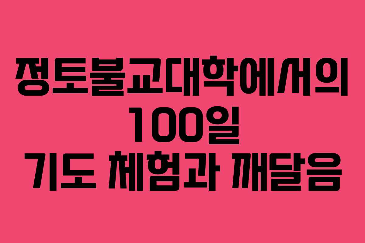 정토불교대학에서의 100일 기도 체험과 깨달음