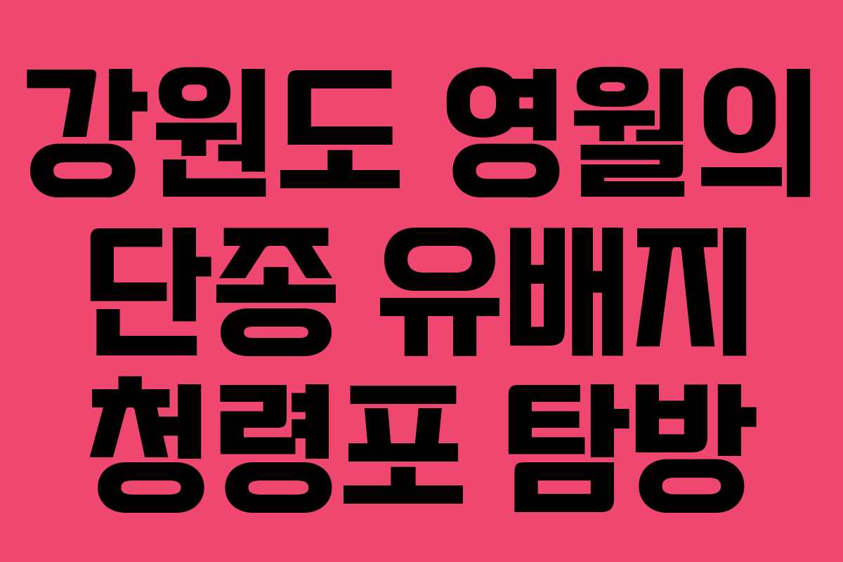 강원도 영월의 단종 유배지 청령포 탐방 강원도 영월의 단종 유배지 청령포 탐방