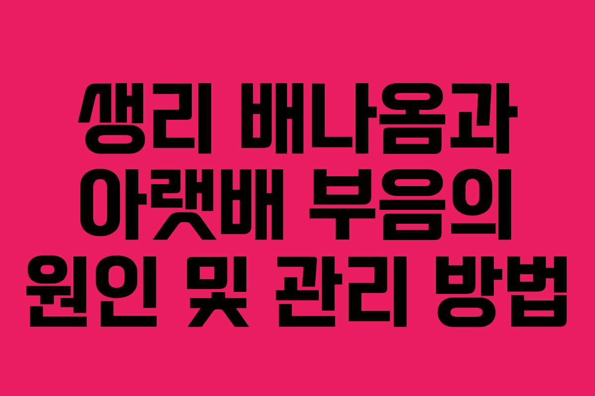 생리 배나옴과 아랫배 부음의 원인 및 관리 방법