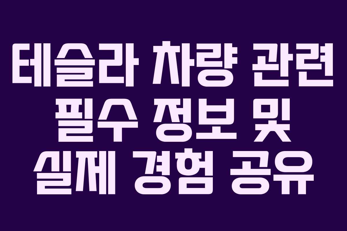 테슬라 차량 관련 필수 정보 및 실제 경험 공유
