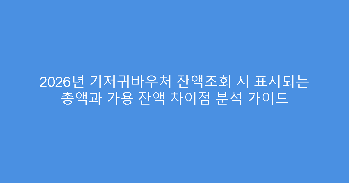 2026년 기저귀바우처 잔액조회 시 표시되는 총액과 가용 잔액 차이점 분석 가이드