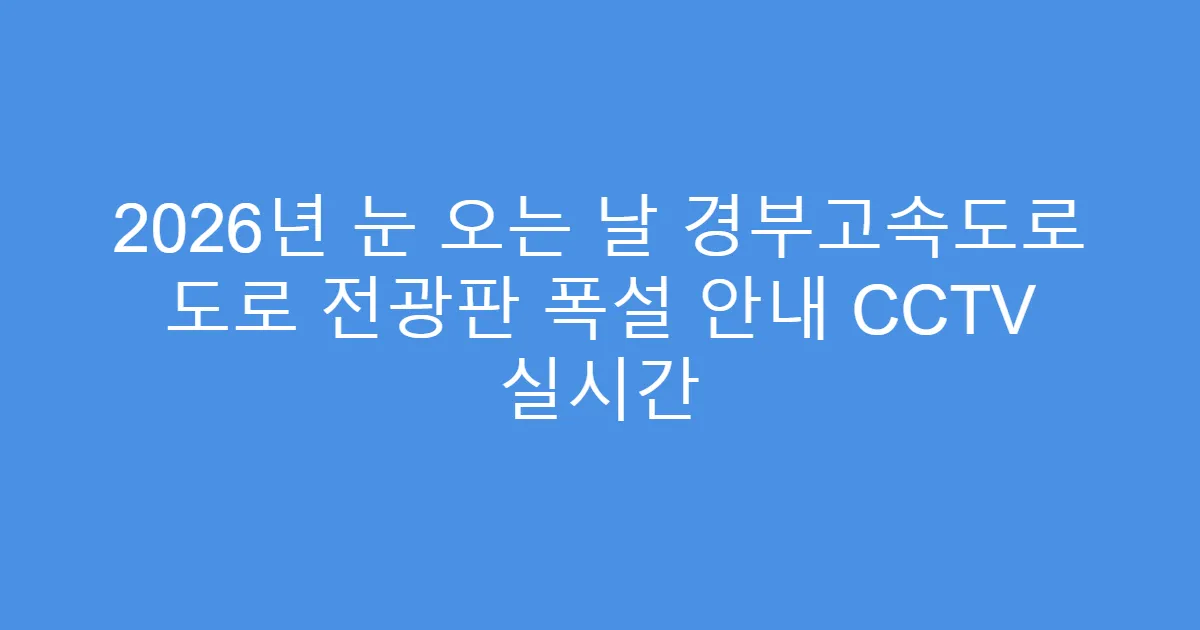 2026년 눈 오는 날 경부고속도로 도로 전광판 폭설 안내 CCTV 실시간