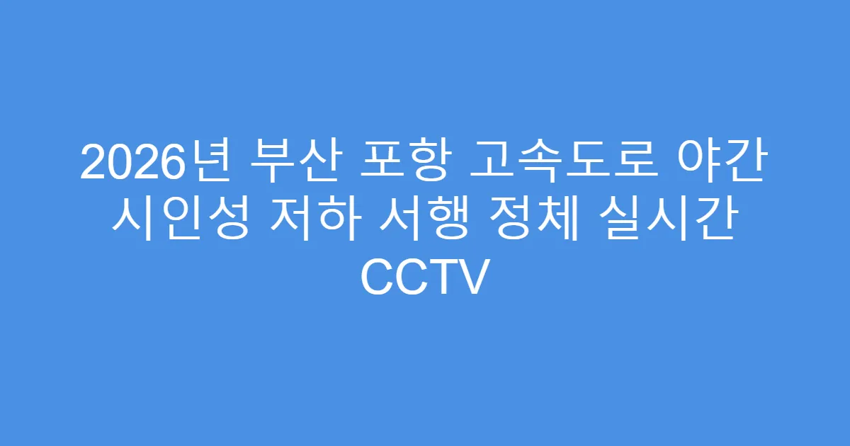 2026년 부산 포항 고속도로 야간 시인성 저하 서행 정체 실시간 CCTV