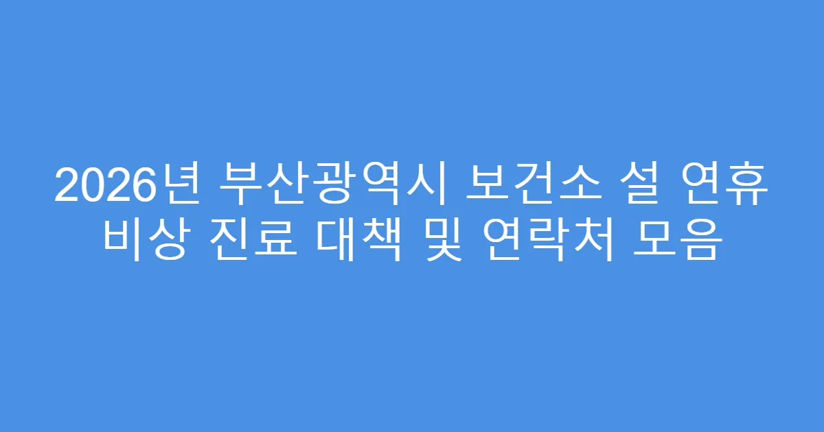 2026년 부산광역시 보건소 설 연휴 비상 진료 대책 및 연락처 모음