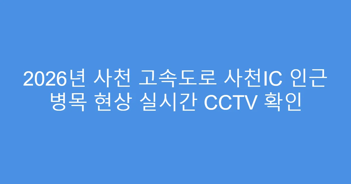 2026년 사천 고속도로 사천IC 인근 병목 현상 실시간 CCTV 확인