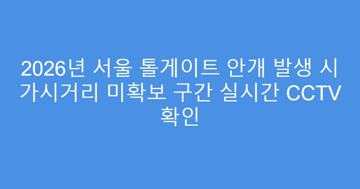 2026년 서울 톨게이트 안개 발생 시 가시거리 미확보 구간 실시간 CCTV 확인
