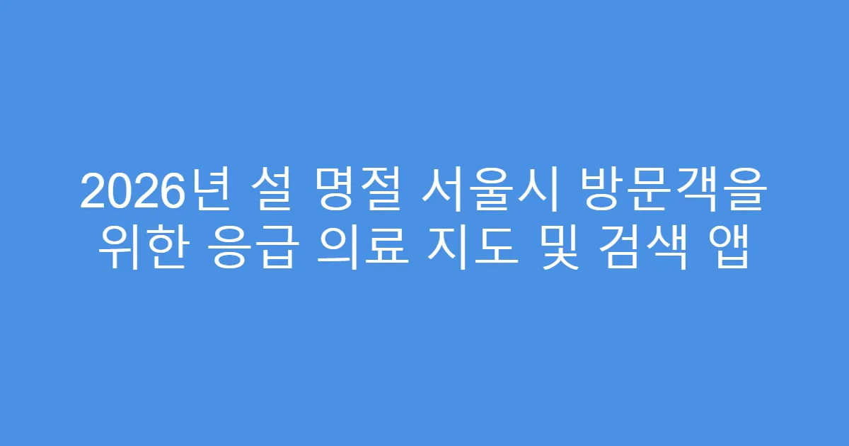 2026년 설 명절 서울시 방문객을 위한 응급 의료 지도 및 검색 앱