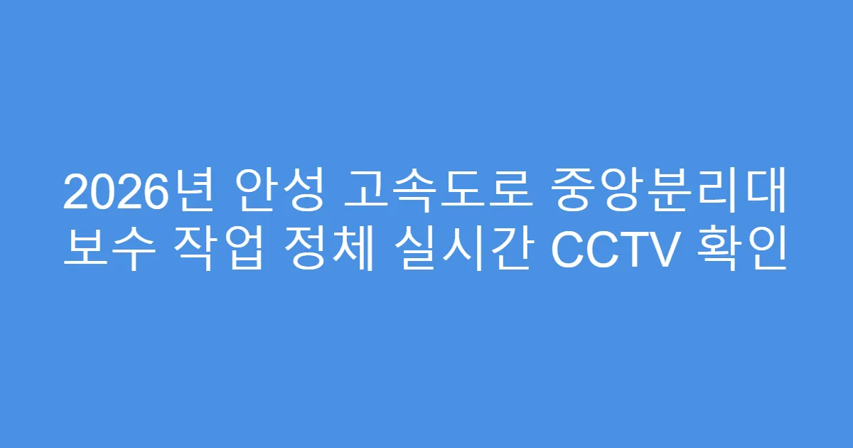 2026년 안성 고속도로 중앙분리대 보수 작업 정체 실시간 CCTV 확인