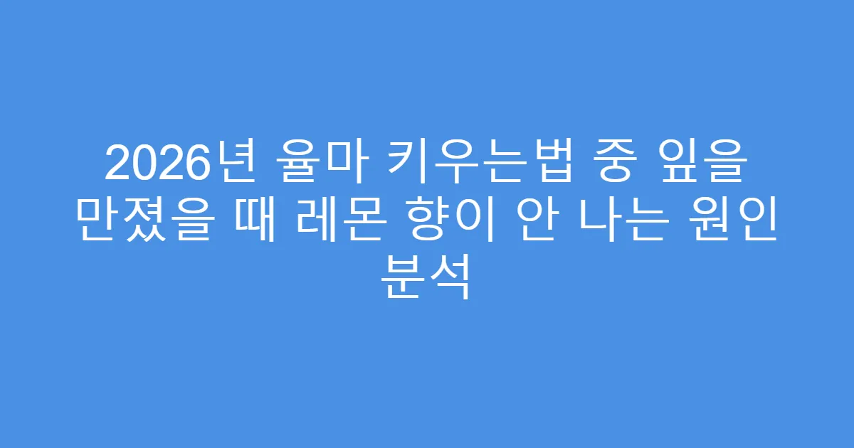 2026년 율마 키우는법 중 잎을 만졌을 때 레몬 향이 안 나는 원인 분석