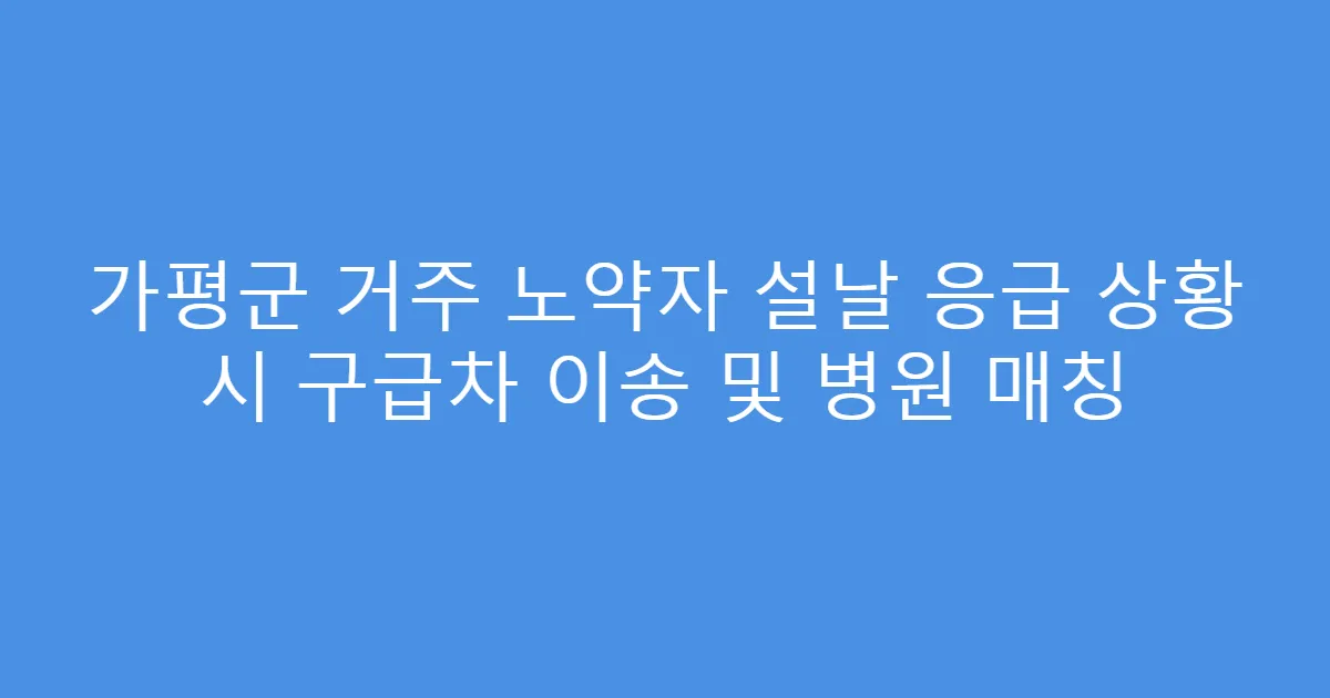 가평군 거주 노약자 설날 응급 상황 시 구급차 이송 및 병원 매칭